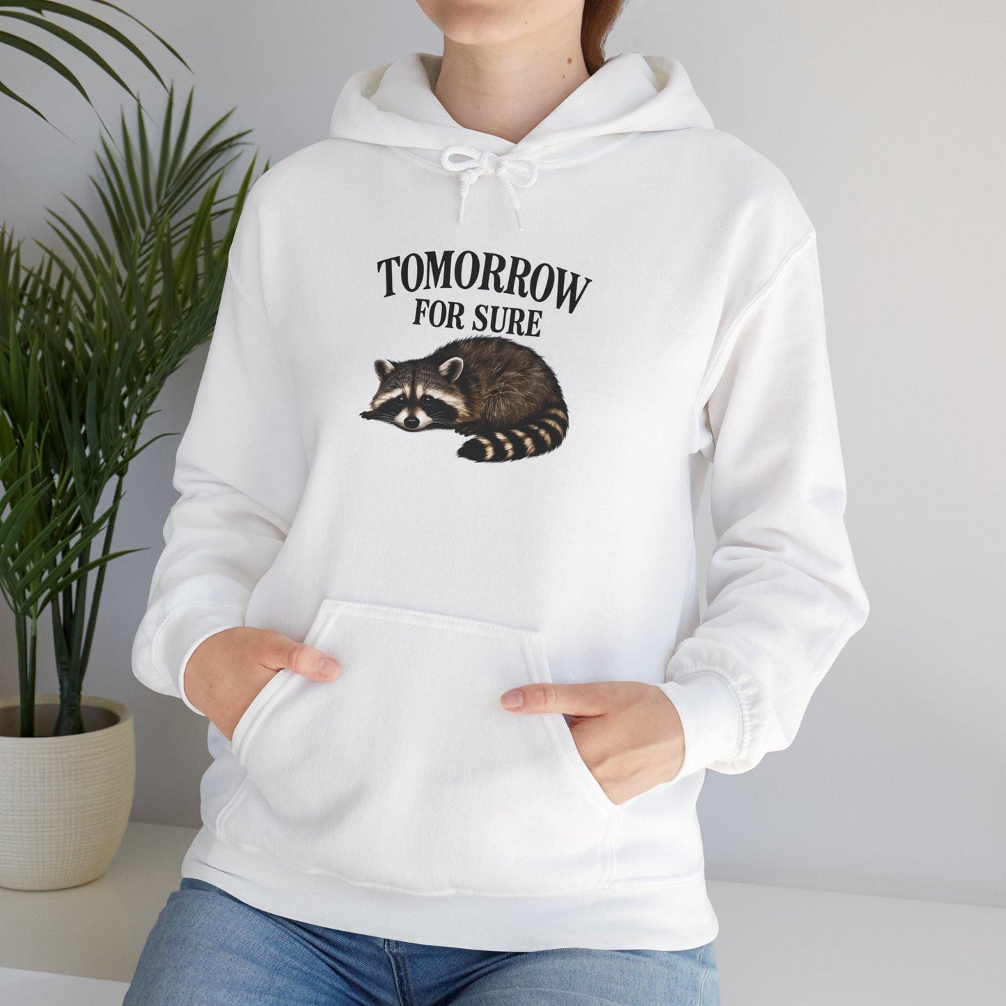 Cozy Raccoon Hooded Sweatshirt, Perfect for Lazy Days, Animal Lover Gift, Relaxation Style, Tomorrow Vibe