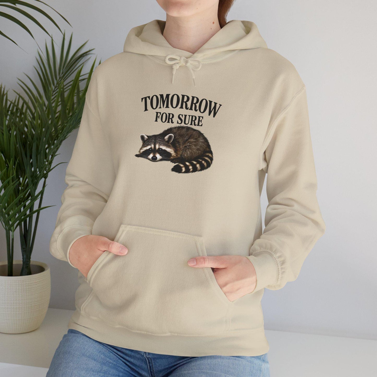 Cozy Raccoon Hooded Sweatshirt, Perfect for Lazy Days, Animal Lover Gift, Relaxation Style, Tomorrow Vibe
