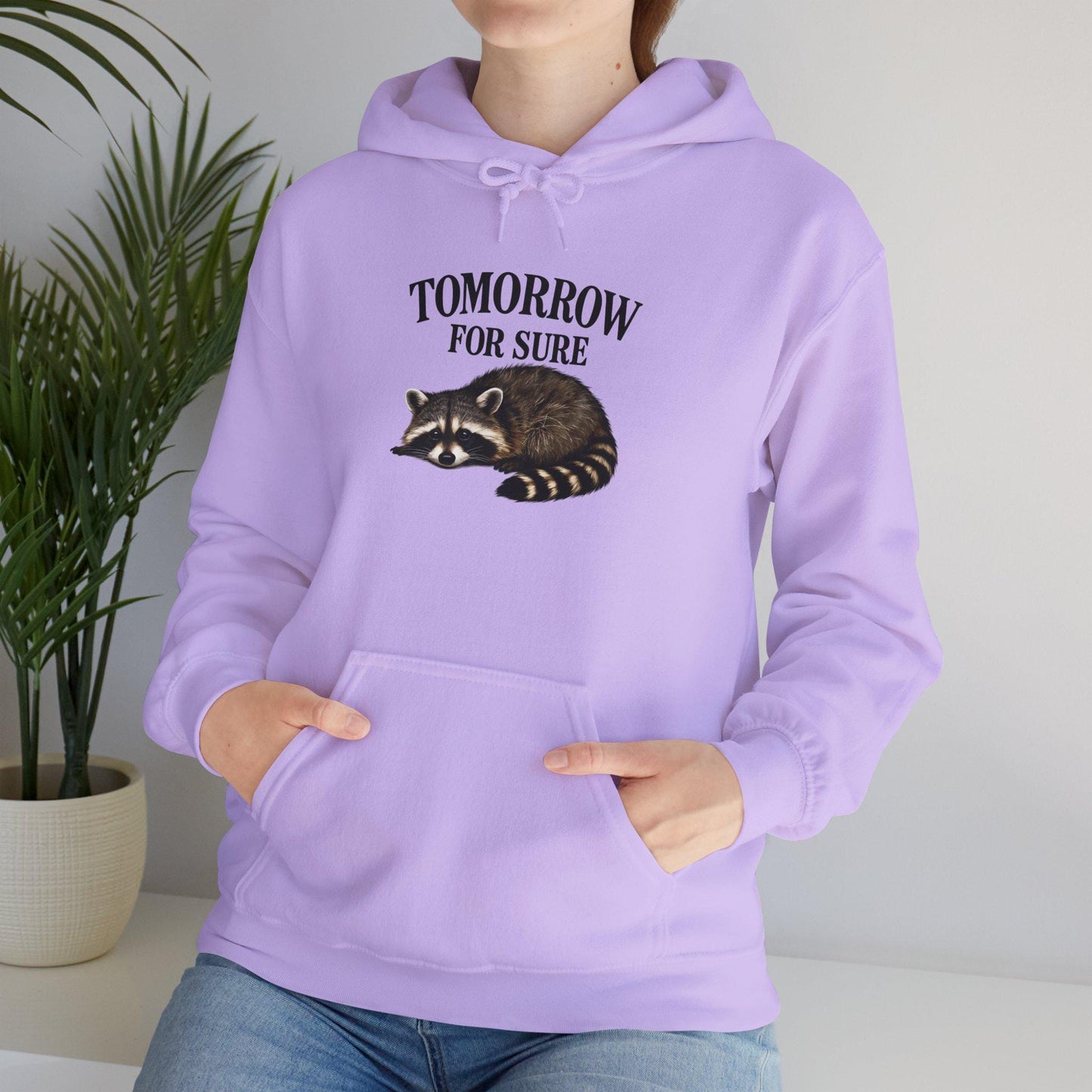 Cozy Raccoon Hooded Sweatshirt, Perfect for Lazy Days, Animal Lover Gift, Relaxation Style, Tomorrow Vibe