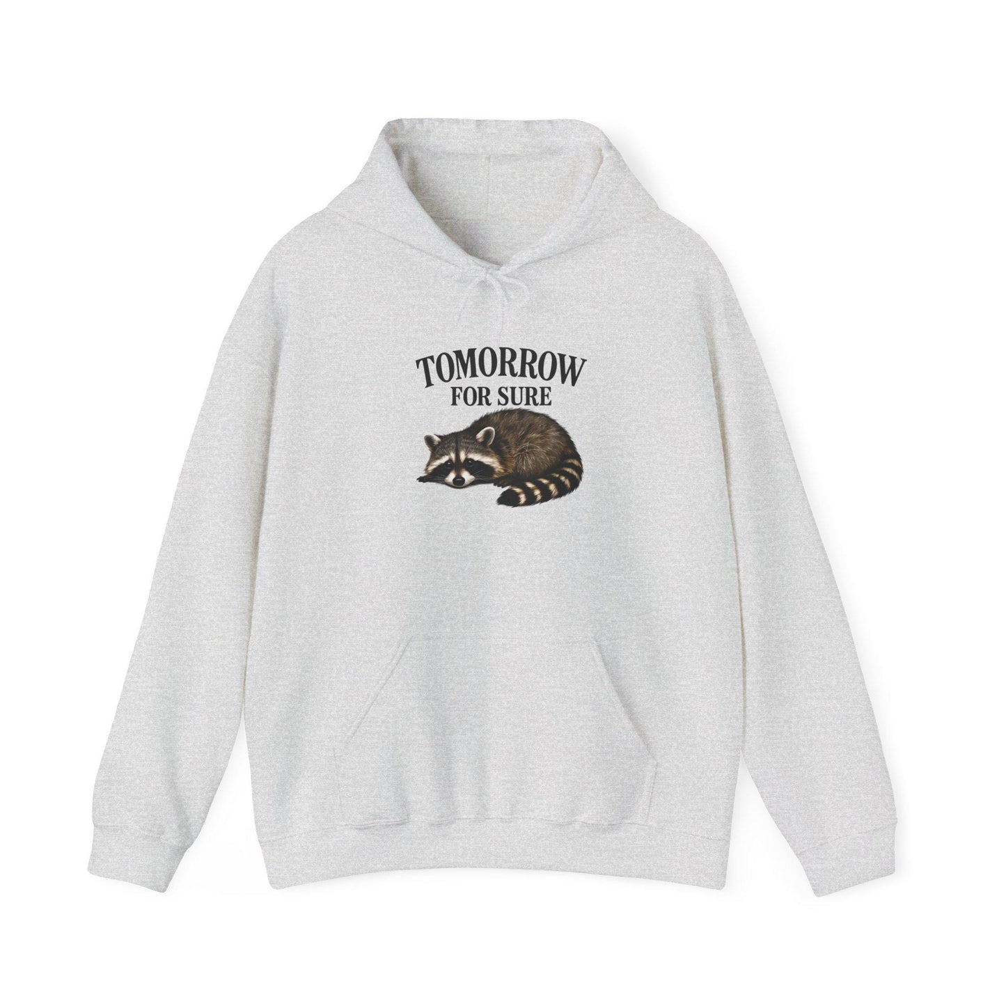 Cozy Raccoon Hooded Sweatshirt, Perfect for Lazy Days, Animal Lover Gift, Relaxation Style, Tomorrow Vibe