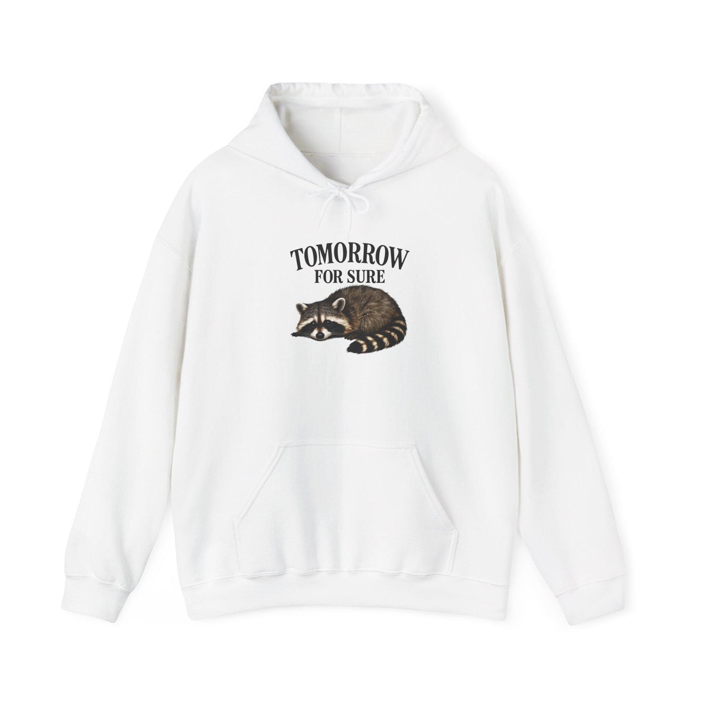 Cozy Raccoon Hooded Sweatshirt, Perfect for Lazy Days, Animal Lover Gift, Relaxation Style, Tomorrow Vibe