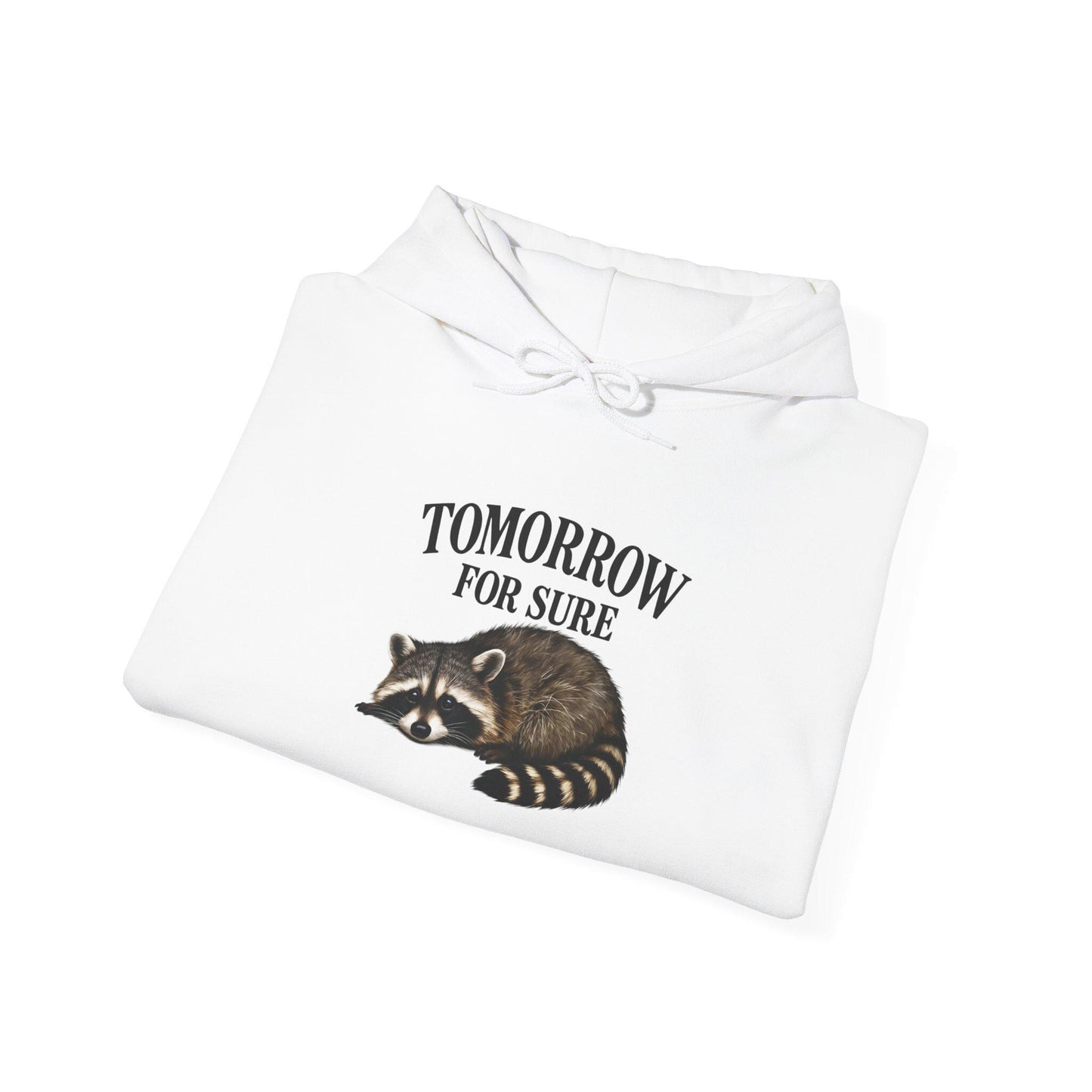 Cozy Raccoon Hooded Sweatshirt, Perfect for Lazy Days, Animal Lover Gift, Relaxation Style, Tomorrow Vibe