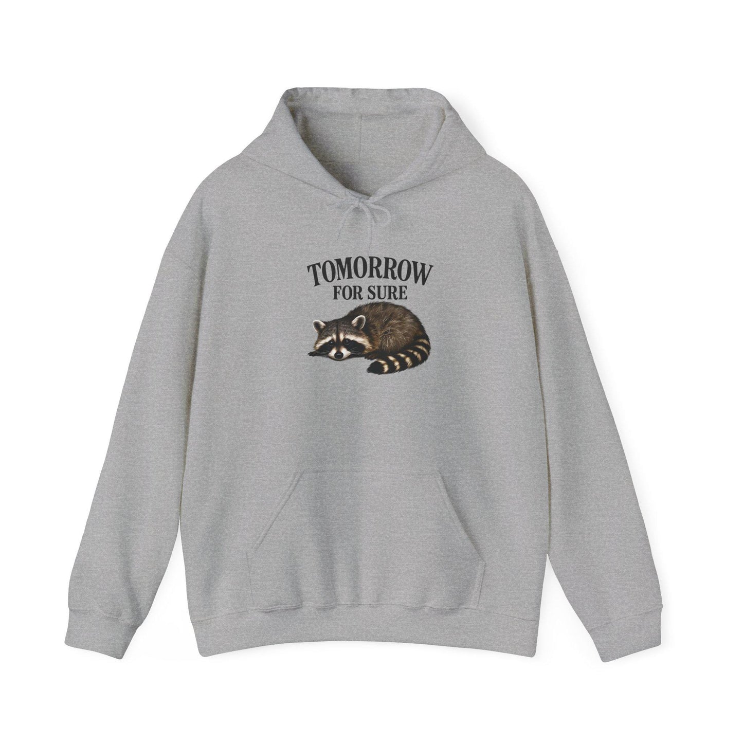 Cozy Raccoon Hooded Sweatshirt, Perfect for Lazy Days, Animal Lover Gift, Relaxation Style, Tomorrow Vibe