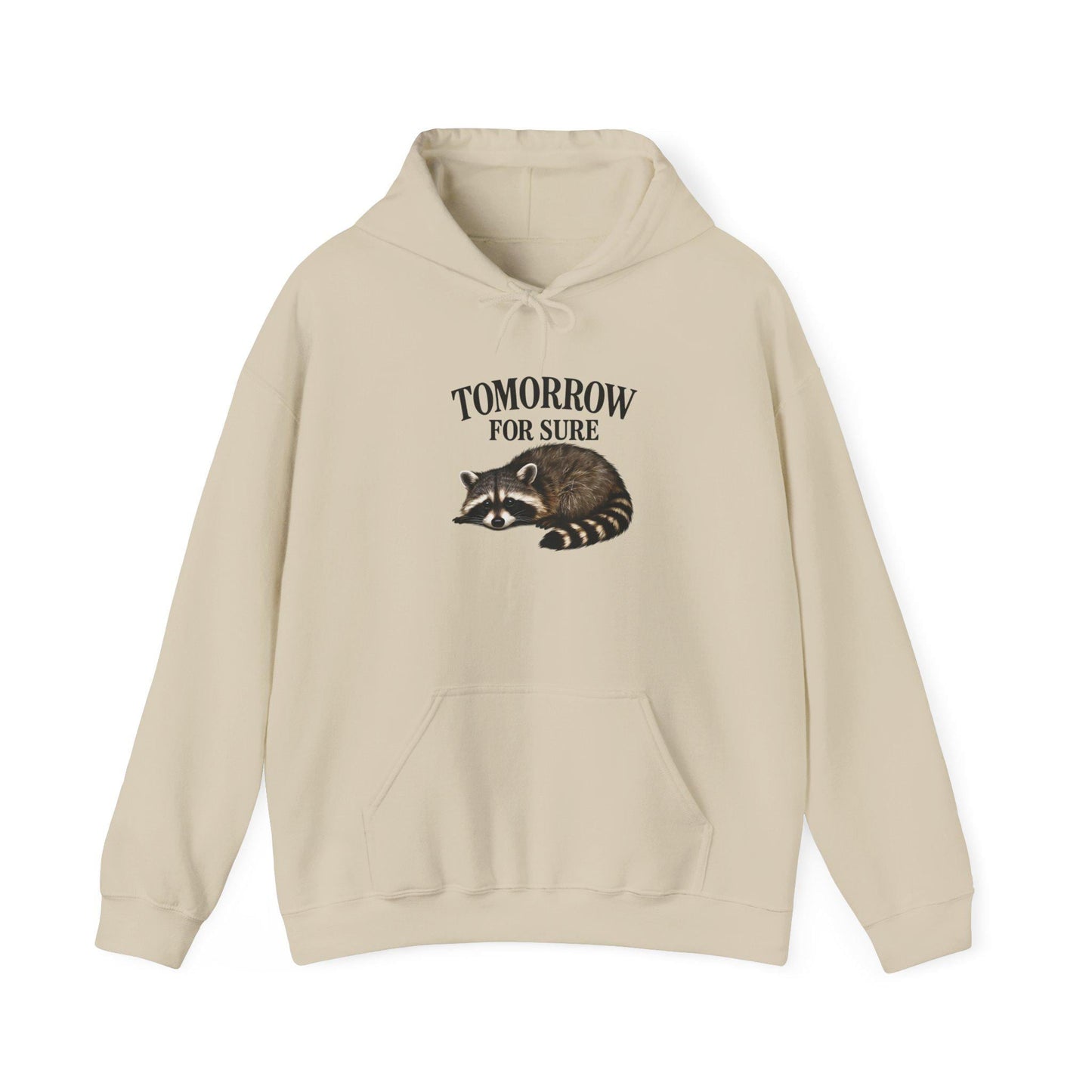 Cozy Raccoon Hooded Sweatshirt, Perfect for Lazy Days, Animal Lover Gift, Relaxation Style, Tomorrow Vibe