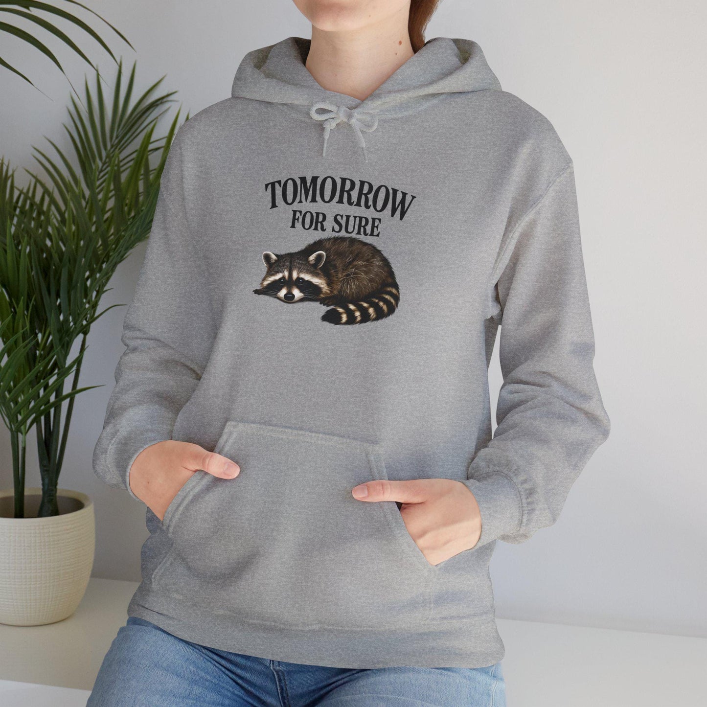 Cozy Raccoon Hooded Sweatshirt, Perfect for Lazy Days, Animal Lover Gift, Relaxation Style, Tomorrow Vibe