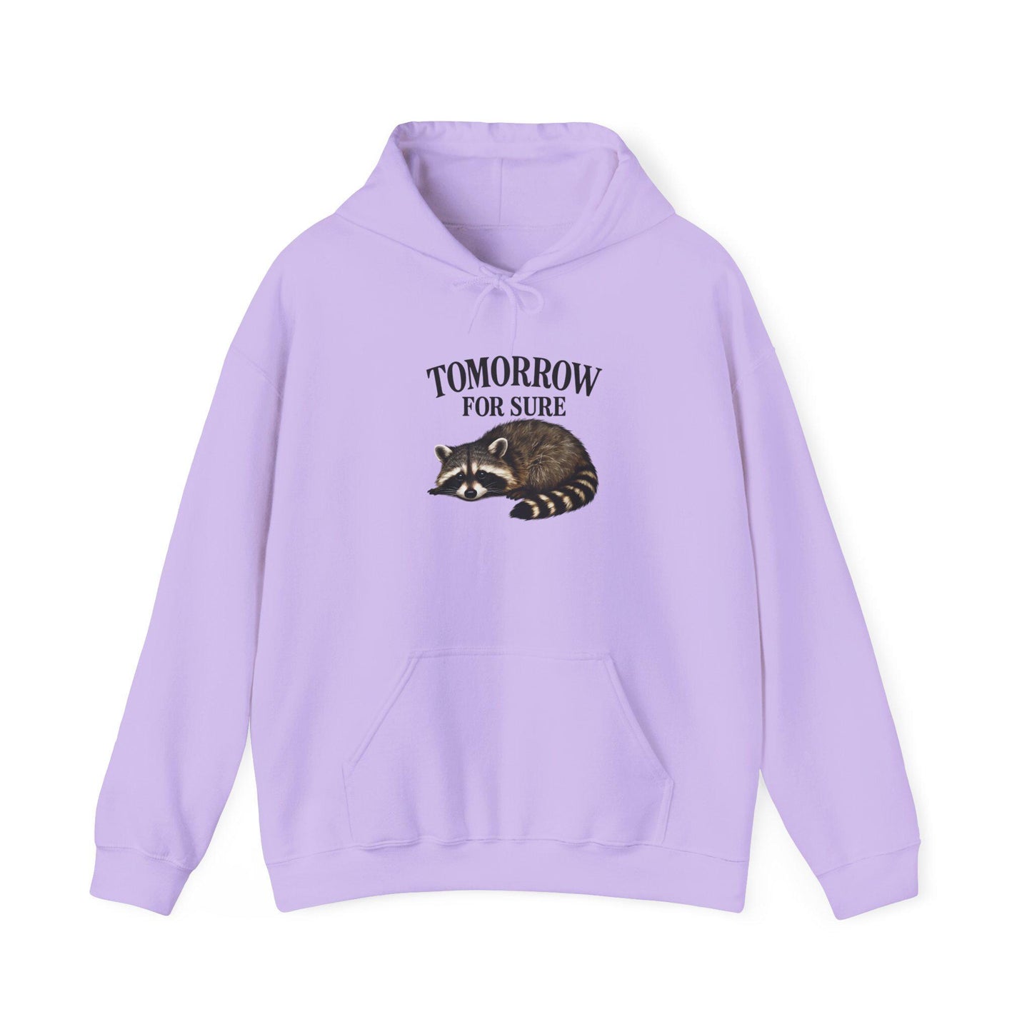 Cozy Raccoon Hooded Sweatshirt, Perfect for Lazy Days, Animal Lover Gift, Relaxation Style, Tomorrow Vibe