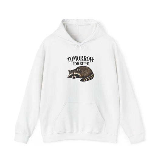 Cozy Raccoon Hooded Sweatshirt, Perfect for Lazy Days, Animal Lover Gift, Relaxation Style, Tomorrow Vibe