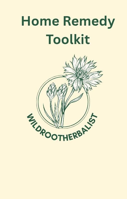 Herbal Remedies for Kids, a Gentle Natural Toolkit (eBook)